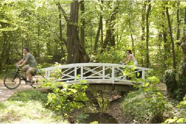 8 daagse fietsreis Münsterland Autovakantie