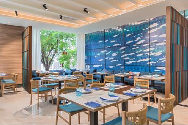 Occidental Sevilla Viapol Stedentrip