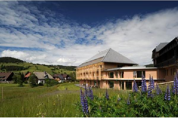 Breggers Schwanen Autovakantie