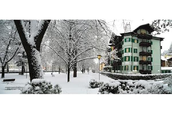 Grüner Baum Wintersport