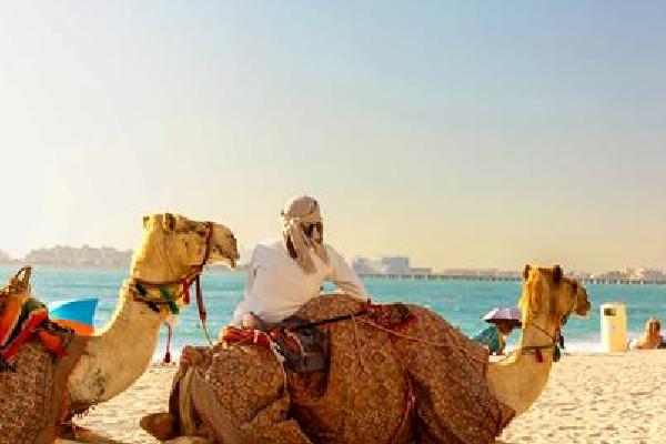 8 daagse cruise Iconen van de Perzische Golf Verre reizen