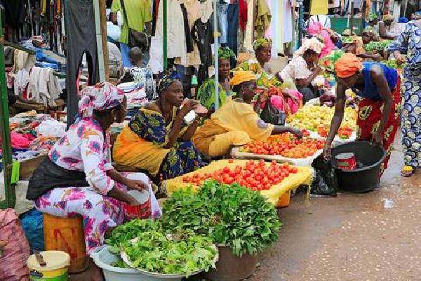 15-daagse rondreis Gambia & Senegal Verre reizen