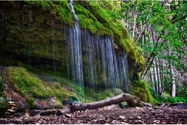 7 daagse Wandelreis Zwarte Woud Autovakantie