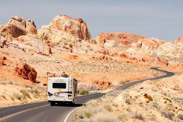 Fly & Camper Road Bear Los Angeles Verre reizen