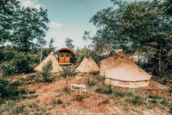 Glamp Outdoor Camp Appeltern Autovakantie