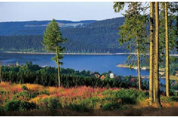 Rauchfang Autovakantie