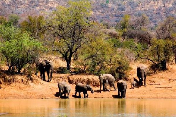 16 daagse safari Verrassend Tanzania icm Zanzibar Verre reizen