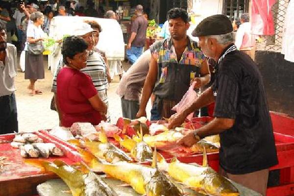 9 daagse Combi Paramaribo & Bergendal Impressie Verre reizen
