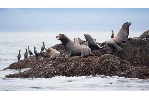 15-daagse rondreis West-Canada Highlights Verre reizen