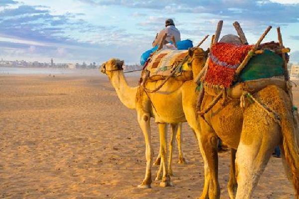 8 daagse cruise Canarische Eilanden met Agadir Vakantie