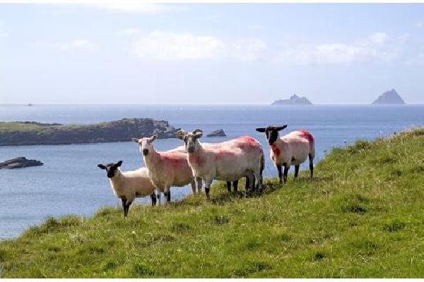 11-daagse rondreis Grand Tour Ierland Zonvakantie