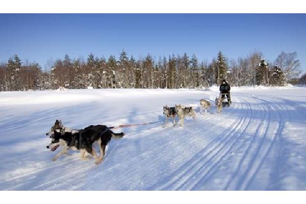 Sirkantähti Wintersport