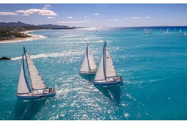 Zeilboot Heineken Regatta Sports Vakantie