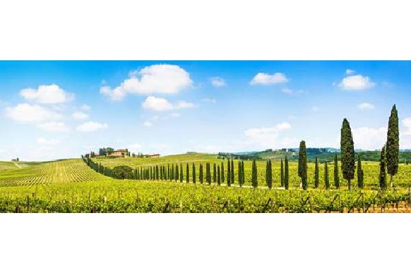 8-daagse rondreis Parels van Toscane Zonvakantie