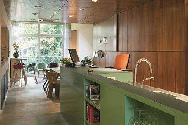 The Neighbour's Magnolia Stedentrip