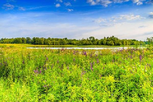 Singlereis Wandelweekend Den Bosch & Meierij Rondreis