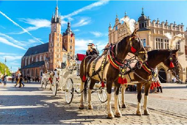 Christelijke reis 12 dg busreis Polen & Mazuren Rondreis