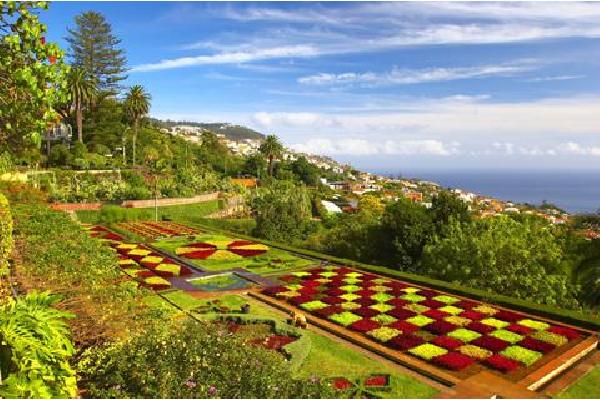 8 dg combinatiereis Funchal en landelijk Madeira Rondreis