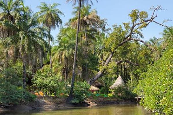8 daagse combinatiereis Beleef het echte Gambia Verre reizen