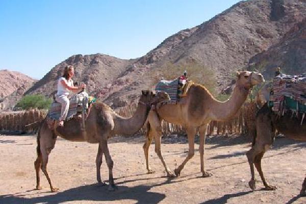 10 daagse fly drive Israël, kibboetsen & woestijn Rondreis