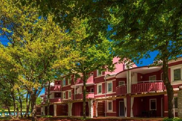 Sol Amfora for Plava Laguna Zonvakantie