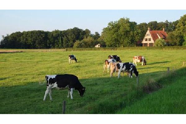 7 daagse Fietsreis Oost Nederland Autovakantie