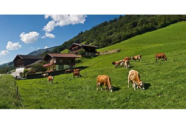 8 daagse singlereis Hartje Tirol Rondreis