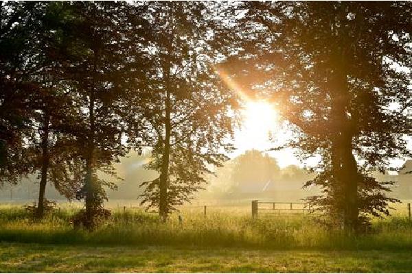 5 daagse Wandelreis over de Sallandse Heuvelrug Autovakantie