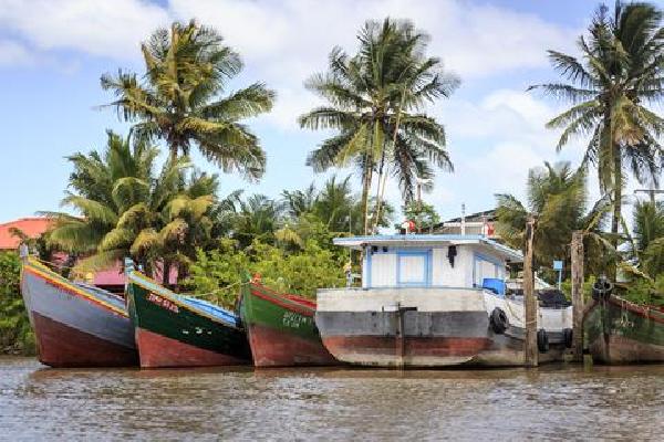 9-daagse rondreis Kleurrijk Suriname Verre reizen