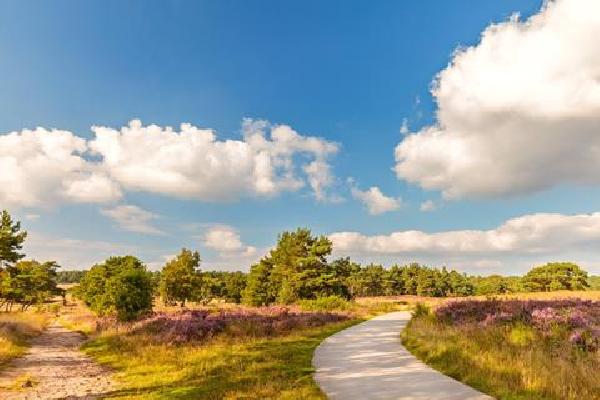 5 daagse singlereis Fietsen op de Veluwe Rondreis