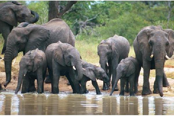 25-daagse rondreis SeeItAll Kruger tot Kaap, Lesotho Verre reizen