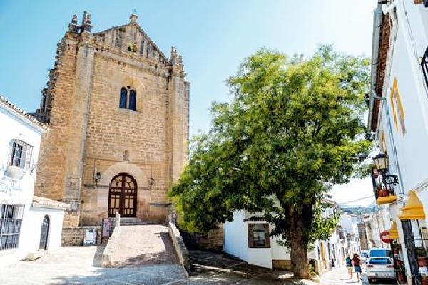 8 daagse singlereis Karakteristiek Andalusië Zonvakantie