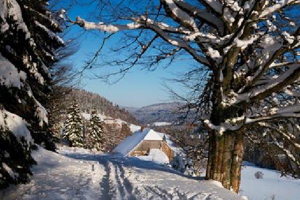 Ochsenwirtshof Wintersport