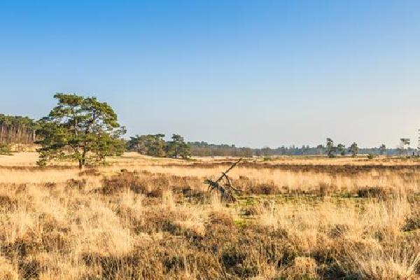 Singlereis Wandelweekend Loonse en Drunense Duinen Rondreis