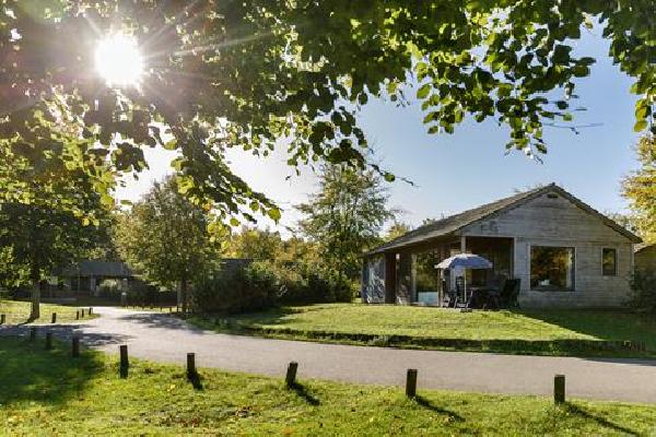 Dierenbos Last minute