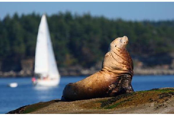 18-daagse rondreis Spectaculair West-Canada Verre reizen