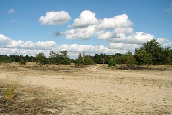 5 dg singlereis Fietsen door Bourgondisch Brabant Rondreis