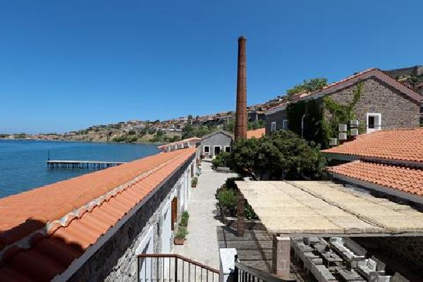 Olive Press Zonvakantie