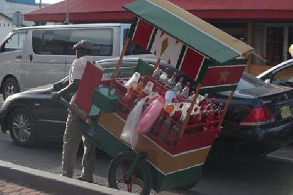 9 daagse combinatiereis Paramaribo en Palumeu Verre reizen