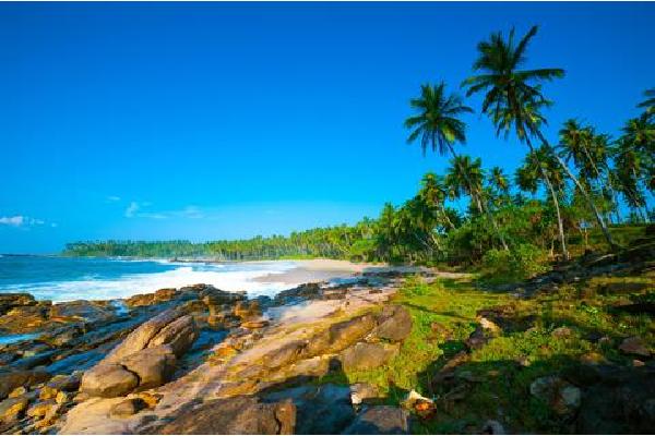 17-daagse rondreis Sri Lanka Deluxe Verre reizen