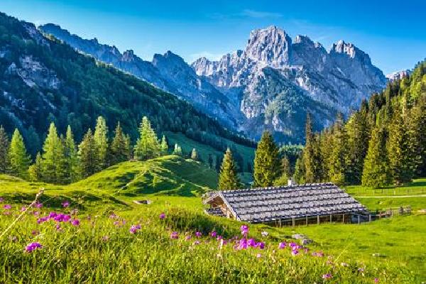 7 daagse busreis Beierse Woud Rondreis