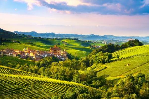 10-daagse culinaire rondreis Piemonte en Ligurie Rondreis
