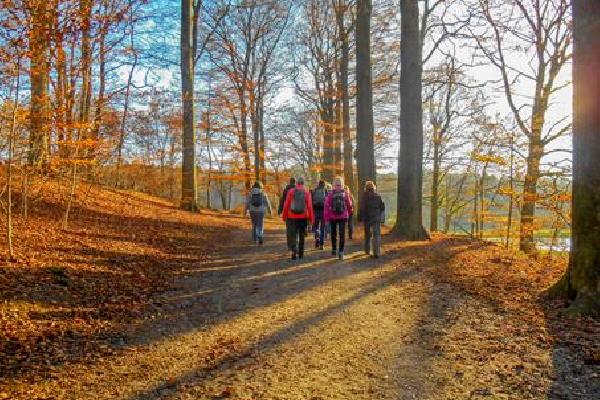 Singlereis Wandelweekend Rijk van Nijmegen Rondreis