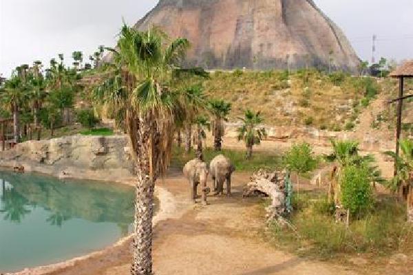 Magic Natura Animal, Waterpark & Polynesian Lodge Zonvakantie